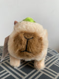Capivara